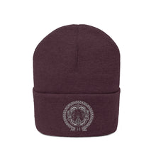 Load image into Gallery viewer, Superhero Society Classic Shield Knitted Winter Beanie